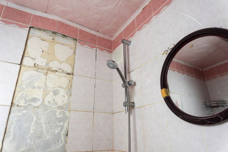 Top Shower Remodeling Companies in Paradise Valley, AZ